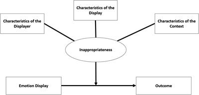 The Impact of Non-normative Displays of Emotion in the Workplace: How Inappropriateness Shapes the Interpersonal Outcomes of Emotional Displays